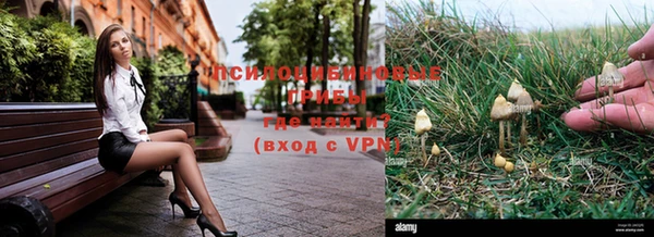 прущие крисы Алзамай