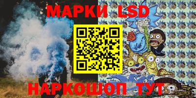 индика Усть-Илимск