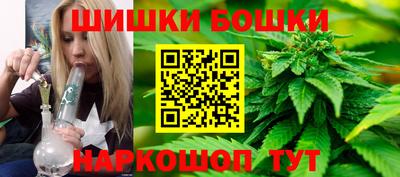 индика Усть-Илимск