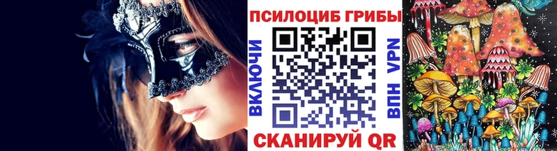Псилоцибиновые грибы Psilocybine cubensis  Орск 